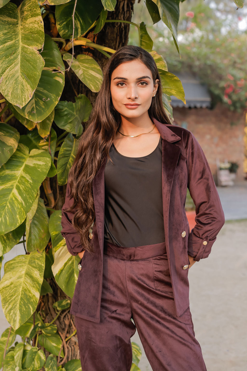 Purple velvet coat with gold detailing buttons & Pants Co ord set EWCO0034-PURPT
